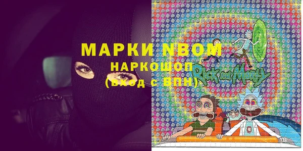 прущие грибы Абинск