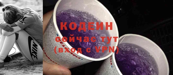 прущие грибы Абинск
