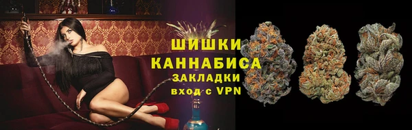 прущие грибы Абинск