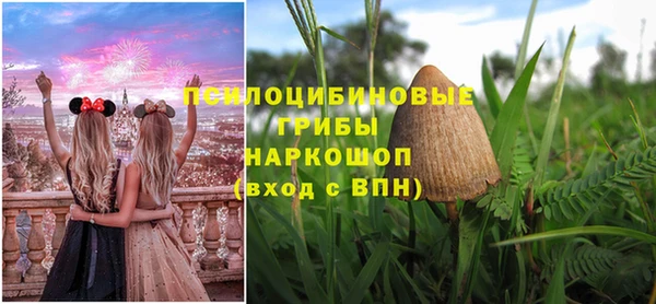 прущие грибы Абинск