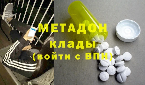 прущие грибы Абинск